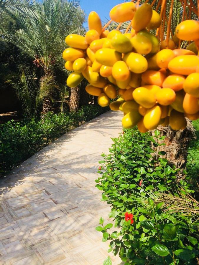 Riad Le Jasmin Taroudant Exterior photo