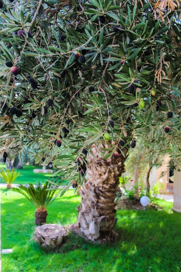Riad Le Jasmin Taroudant Exterior photo