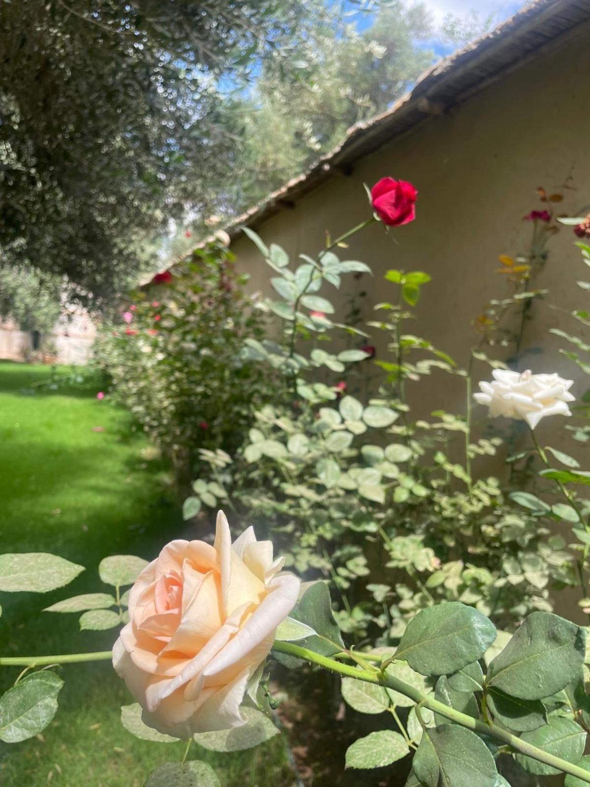 Riad Le Jasmin Taroudant Exterior photo