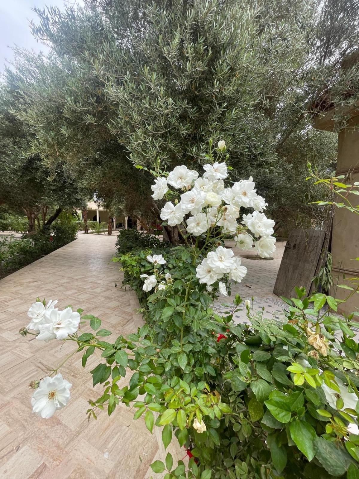 Riad Le Jasmin Taroudant Exterior photo