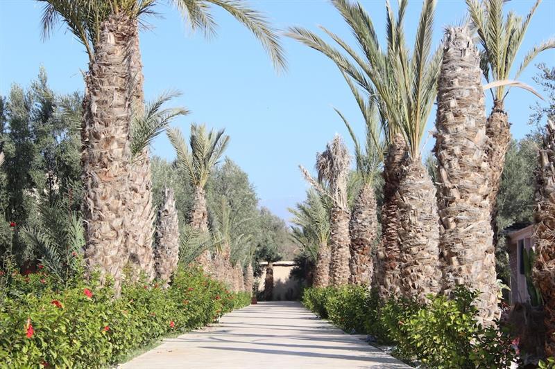 Riad Le Jasmin Taroudant Exterior photo